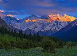 关于天山朱雀队鏖战庐州战狼队，棒球淘汰赛险胜，核心复出即建功。保级形势悄然变化的信息